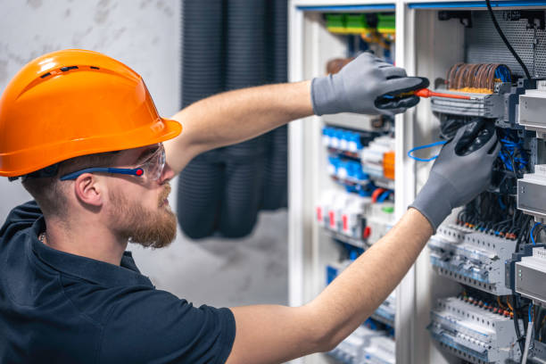 Best Electrician Near Me  in Laingsburg, MI